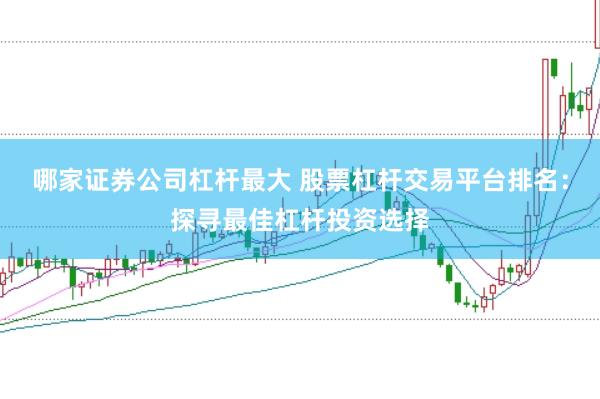 哪家证券公司杠杆最大 股票杠杆交易平台排名：探寻最佳杠杆投资选择