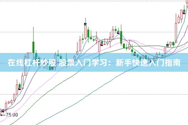 在线杠杆炒股 股票入门学习：新手快速入门指南