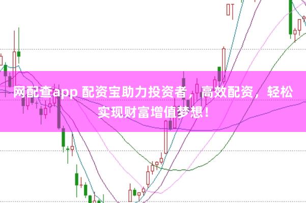 网配查app 配资宝助力投资者，高效配资，轻松实现财富增值梦想！