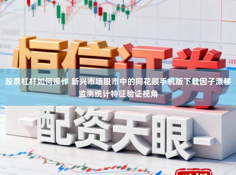 股票杠杆如何操作 新兴市场股市中的同花顺手机版下载因子漂移监测统计特征验证视角